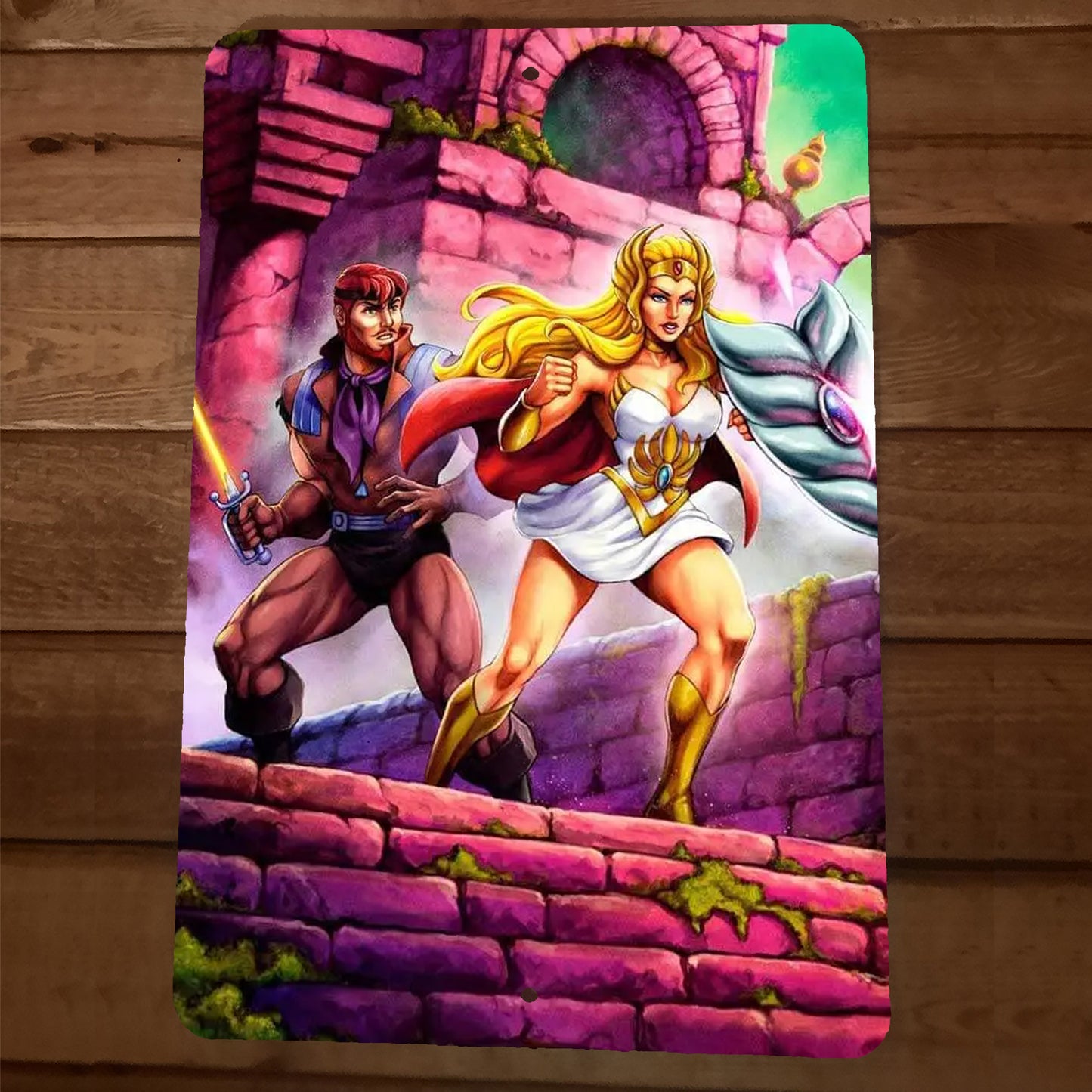 She Ra Princess of Power 8x12 Metal Wall Sign MOTU Shera and Sea Hawk