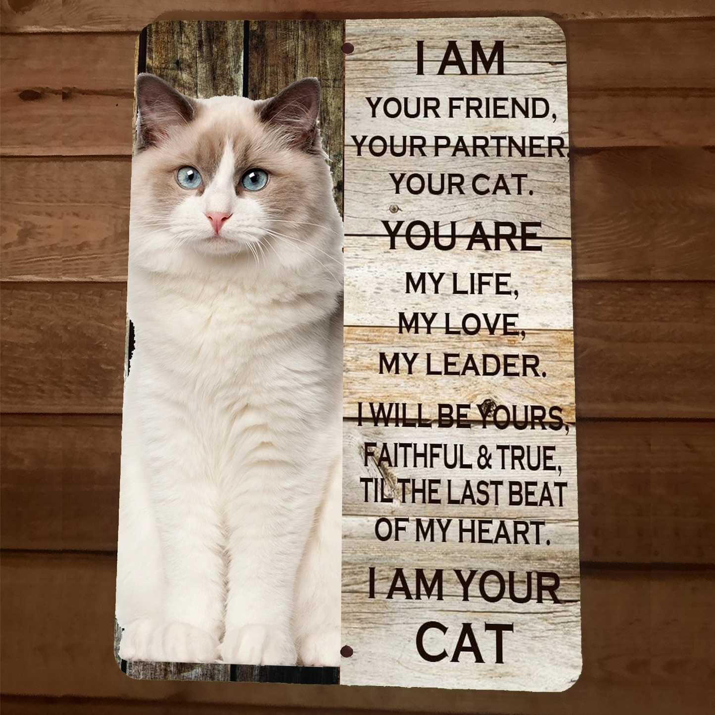 I am Your Ragdoll Cat 8x12 Metal Wall Animal Sign Poster