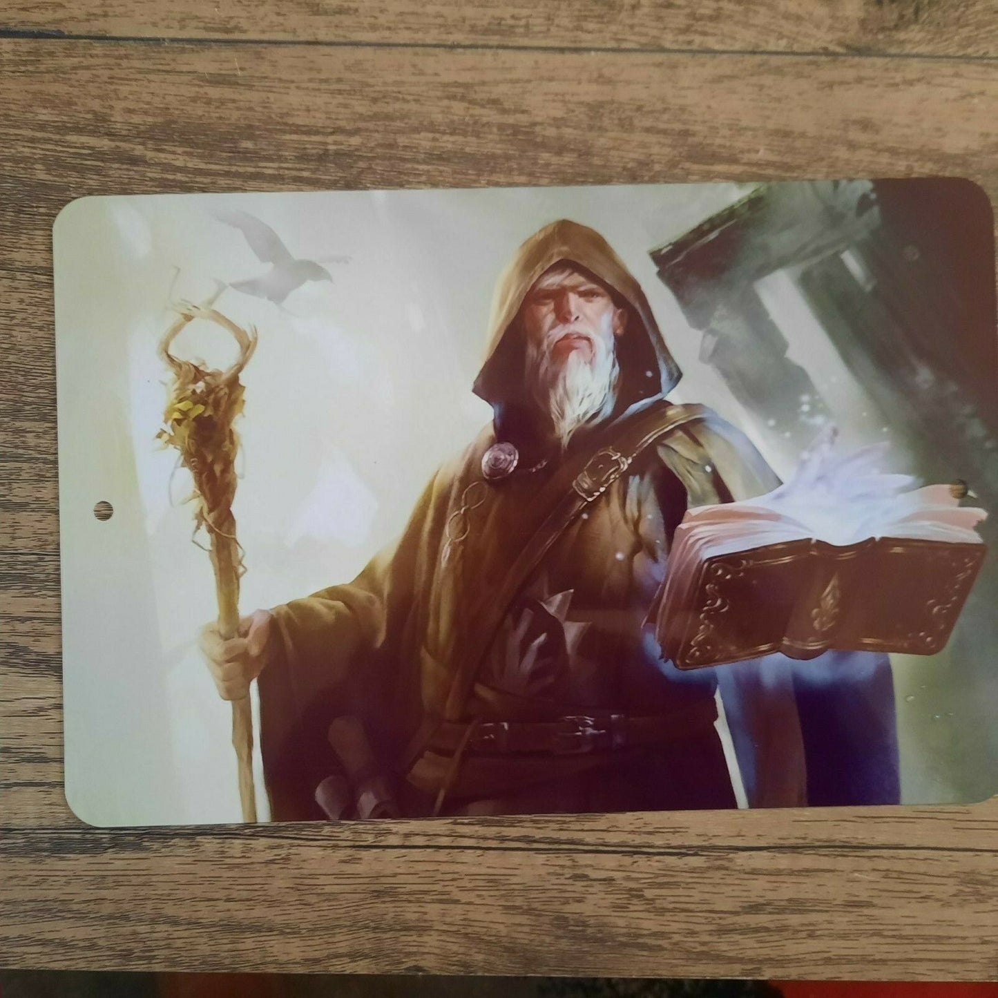 Magic Wizard Casting a Spell from Book Fantasy 8x12 Metal Wall Sign Fantasy Misc Poster