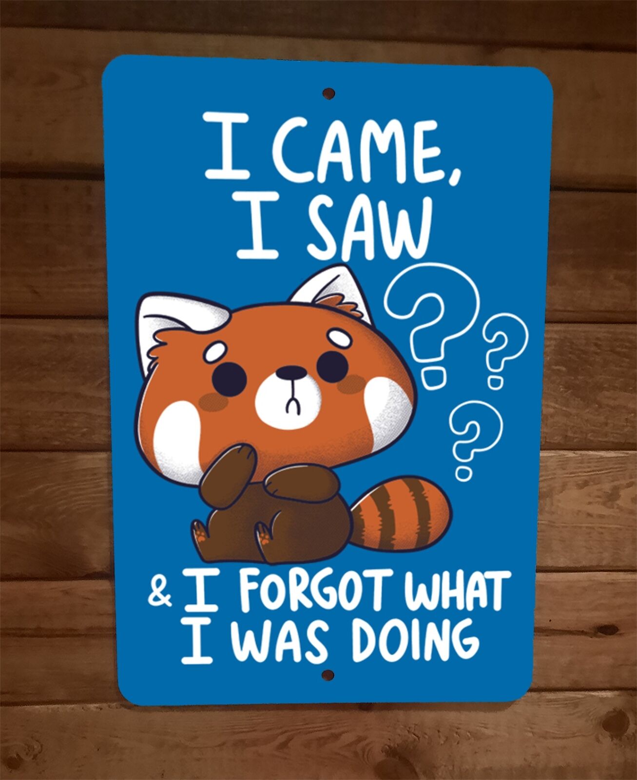 I Came I Saw I Forgot What I was Doing 8x12 Metal Wall Sign
