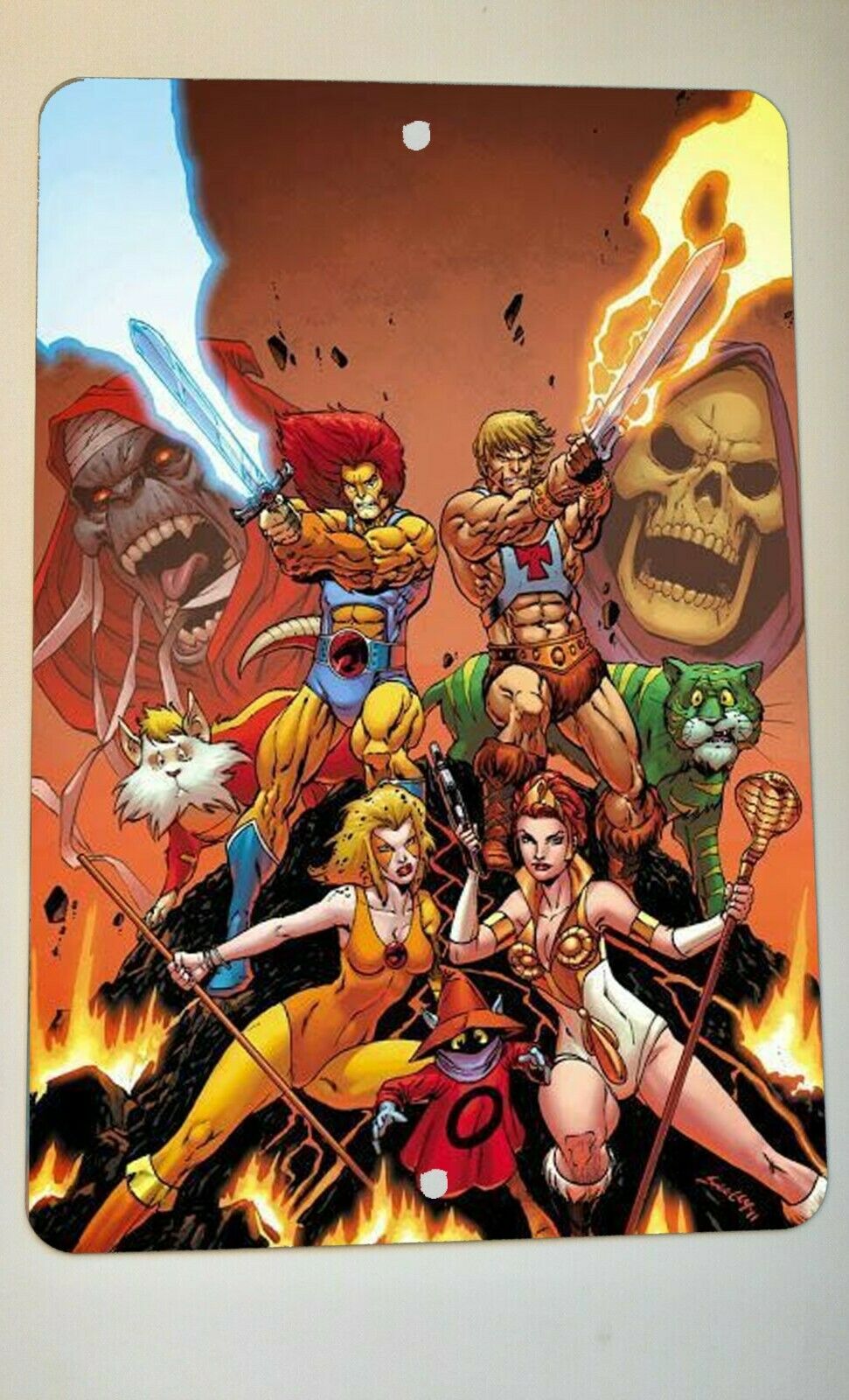 Retro 80s Thundercats He Man Skeletor Mumm Ra Lion O 8x12 Metal Wall Sign