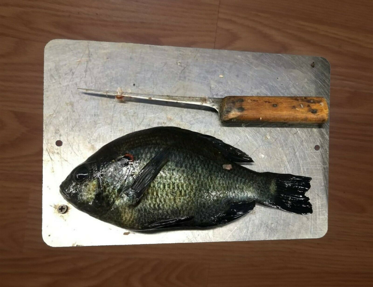 Bluegill Fish 8x12 Metal Wall Sign Sports Great Outdoors