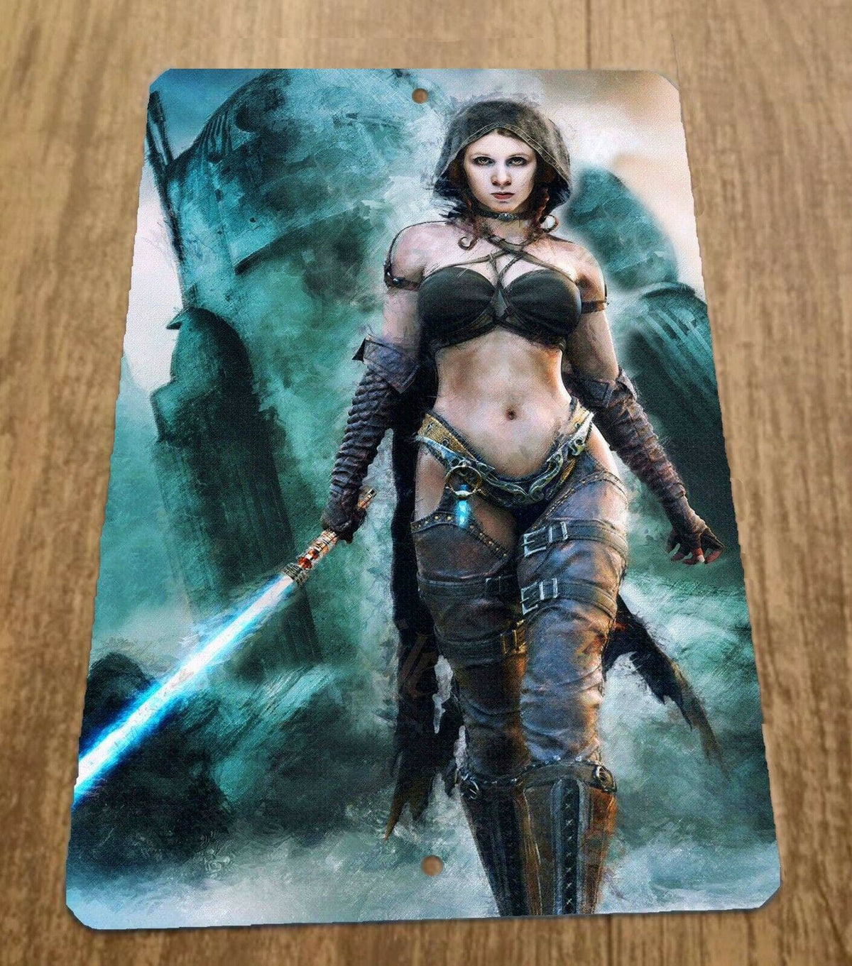 Jedi Knight Princess Leia Star Wars Artwork 8x12 Metal Wall Sign