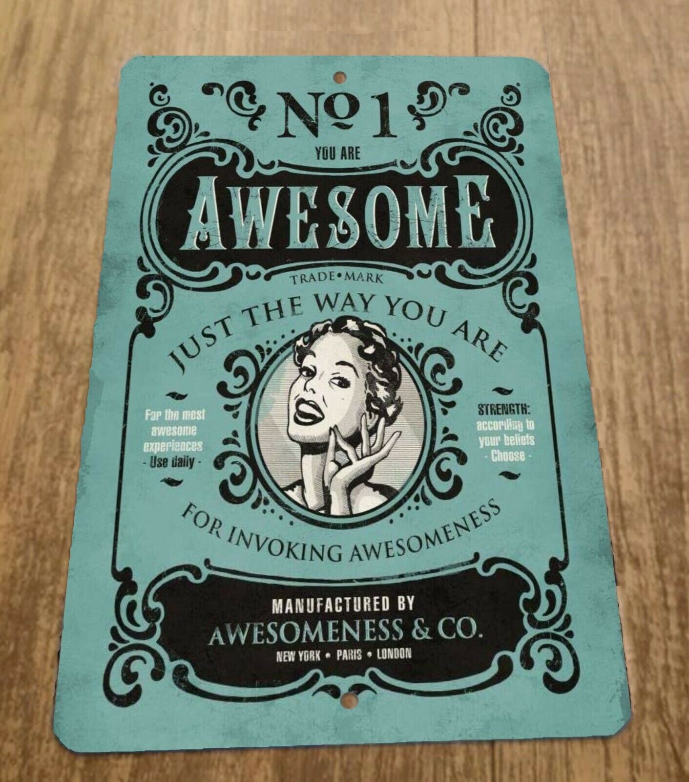 You Are Awesome No 1 Awesomeness 8x12 Metal Wall Sign