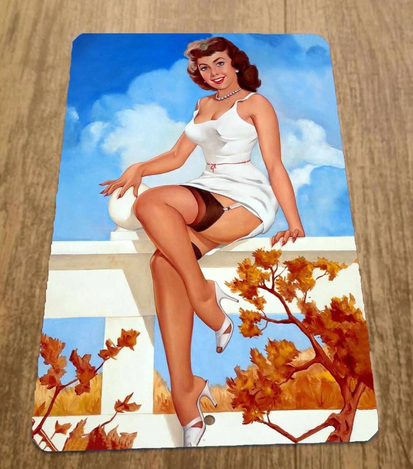 Brunette on Rail Artwork Pinup Girl 8x12 Metal Wall Vintage Misc Poster Sign