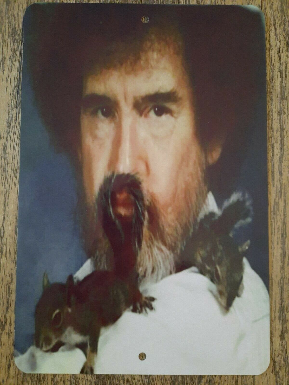 Bob Ross Squirrel Mustache 8x12 Metal Wall Sign Funny Misc TV Show