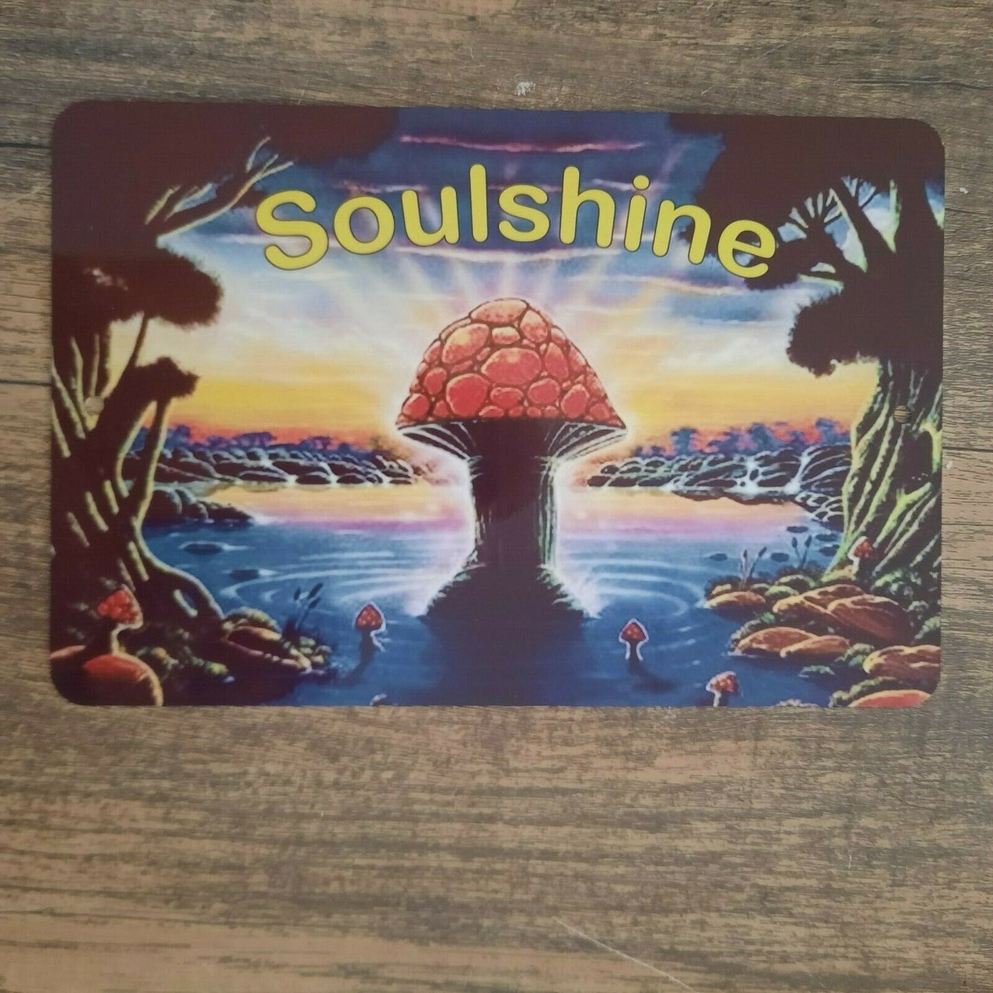 Soulshine Mushrooms Sunrise Gregg Allman Band 8x12 Metal Wall Sign