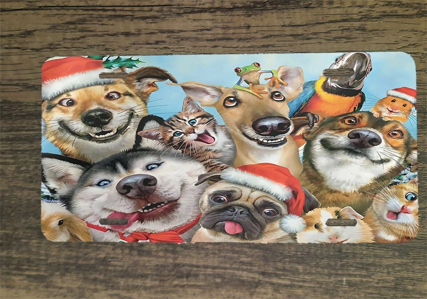 Funny Dog Cartoon Artwork 6x12 Mountable Novelty License Plate Frame