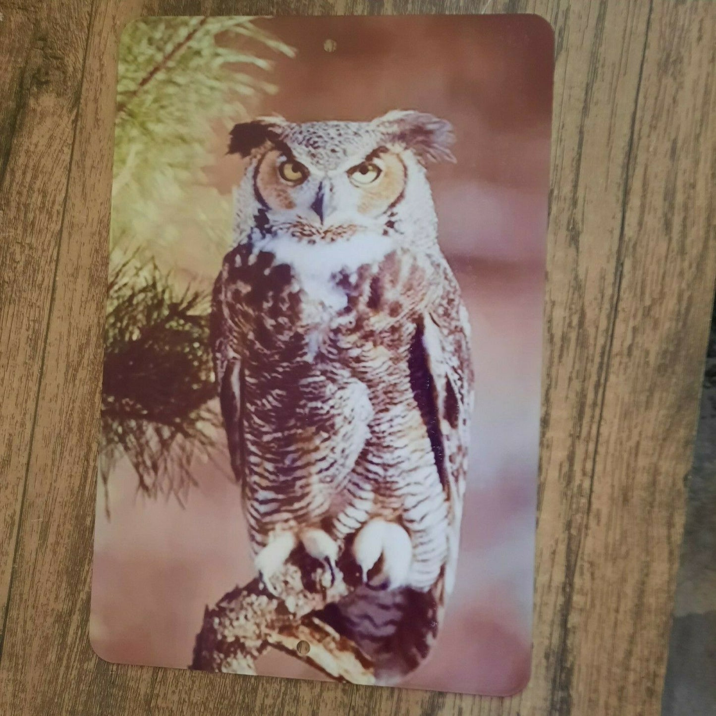 Great Horned Owl 8x12 Metal Wall Sign Animals Birds