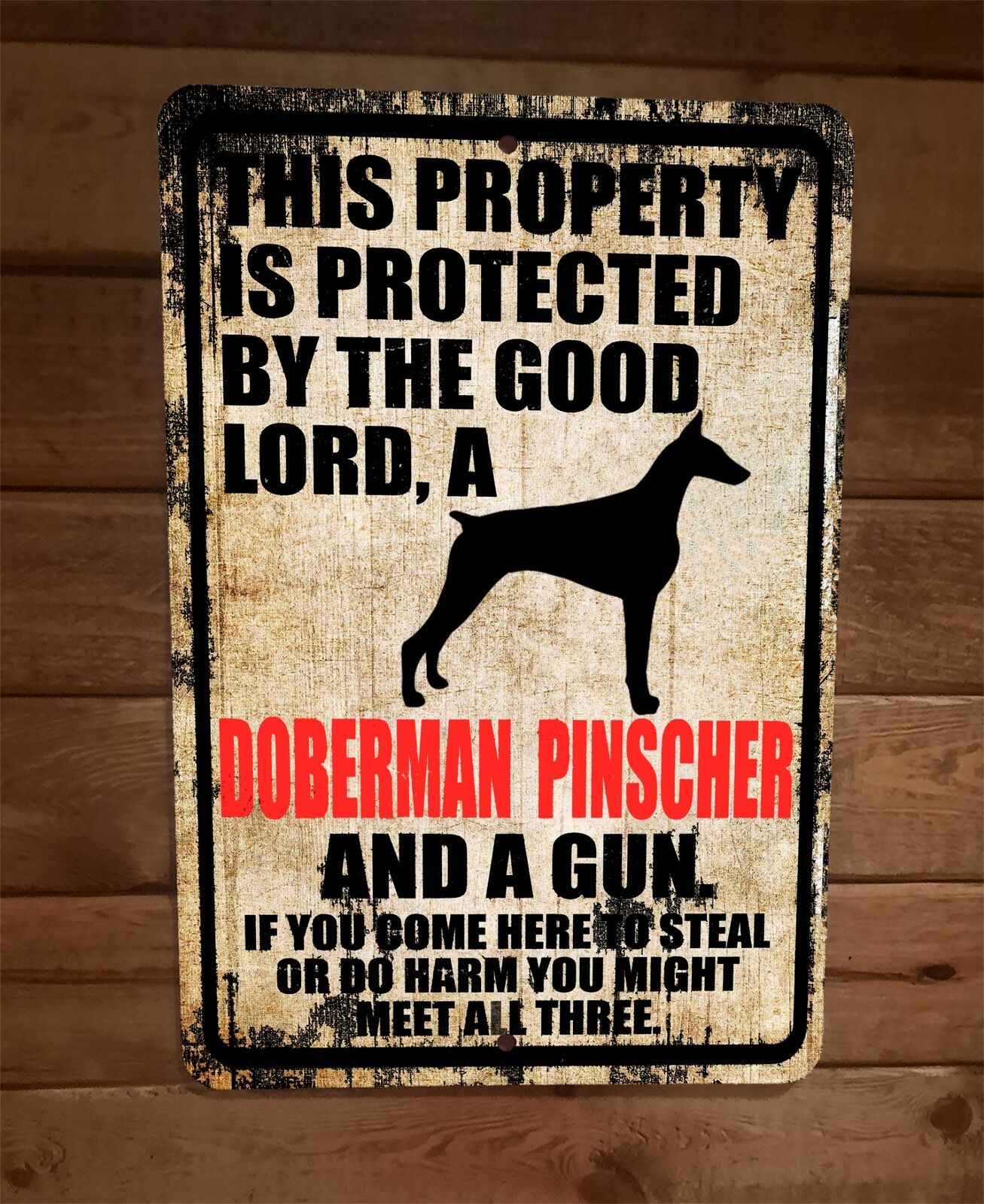 Property Protected By Good Lord Doberman and Gun 8x12 Metal Wall Sign Poster