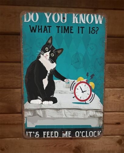 Its Feed Me Oclock Black Cat 8x12 Wall Sign Animal Poster
