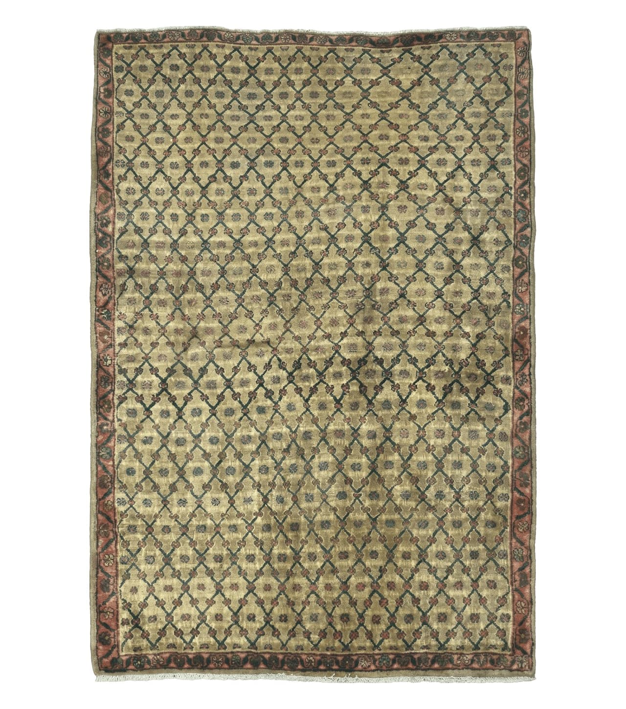 4' X 6' Handmade Indian Allover Wool Rug Camel Hair Color #119