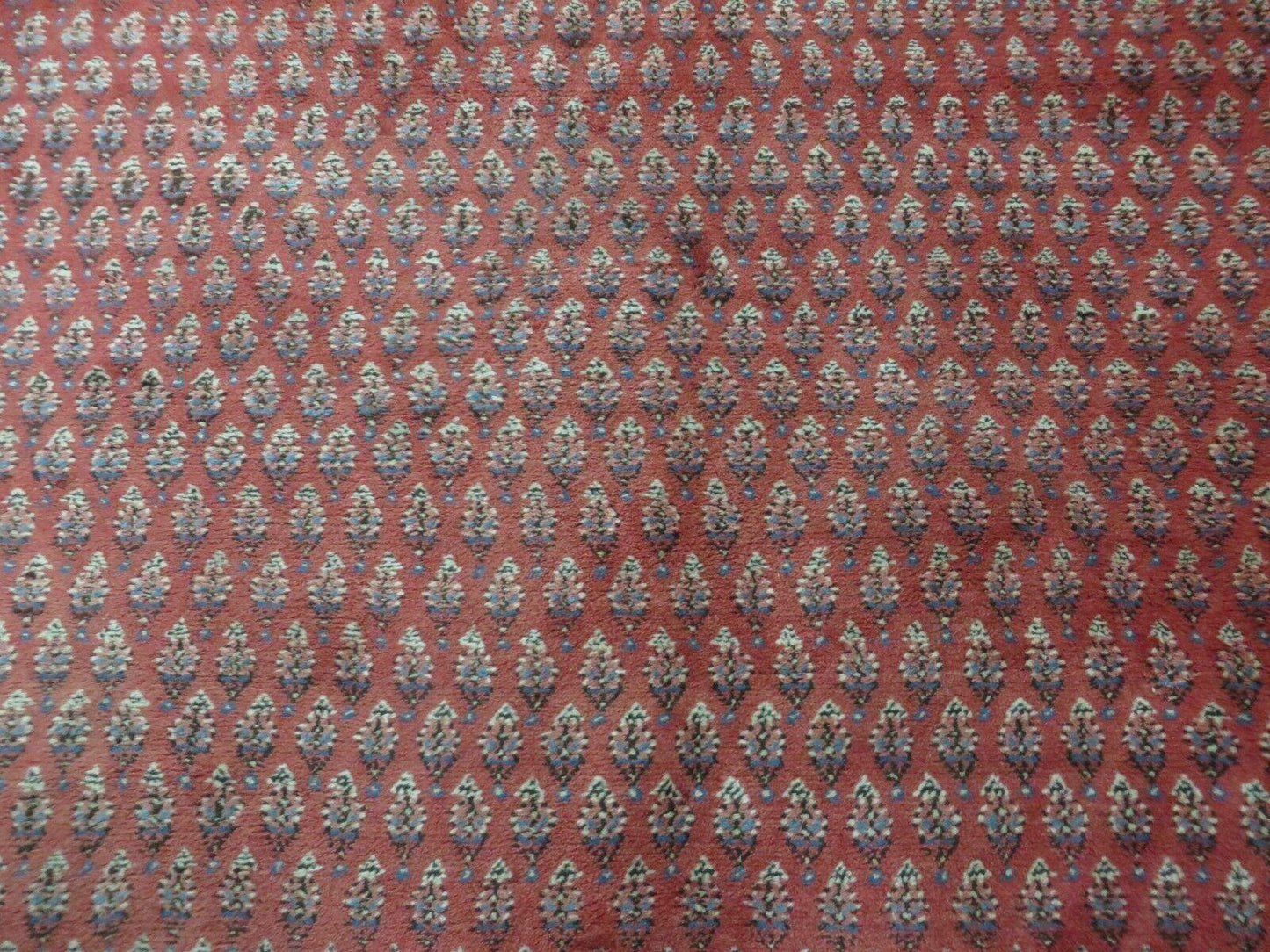 7' X 9' Vintage India Oriental Paisley Handmade Wool Rug Red Vegetable Dyes