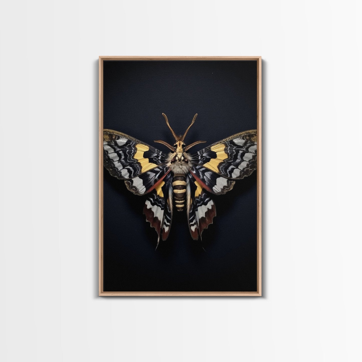 Framed Death Head Moth Canvas Print, Acherontia, Taxidermy Art, Dried Butterfly Print, Bug Wall Art Hanging Decor, Goth Art, Halloween Art