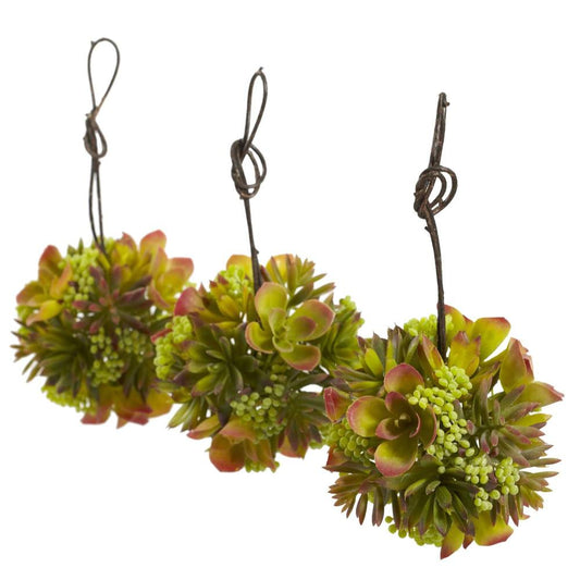 5" Mixed Succulent Hanging Ball (Set of 3)