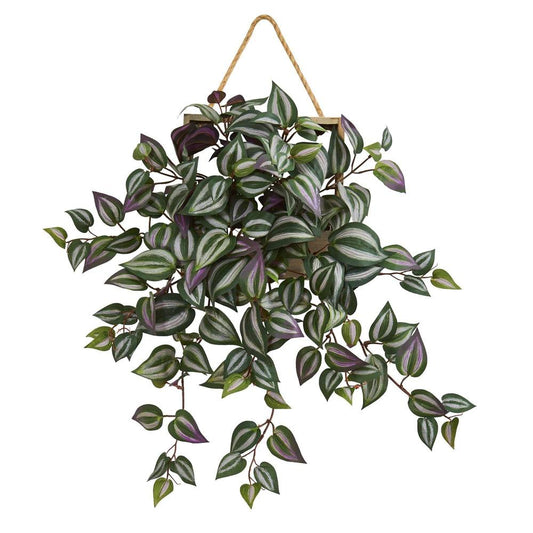 20" Wandering Jew Artificial Plant in Decorative Hanging Frame