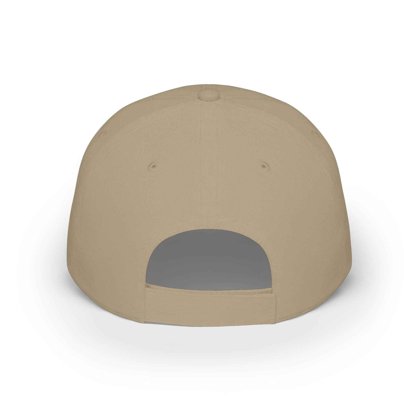 Department of Tides & Tan Lines Dad Cap – Coastal Seal Hat, Office of Saltwater Affairs