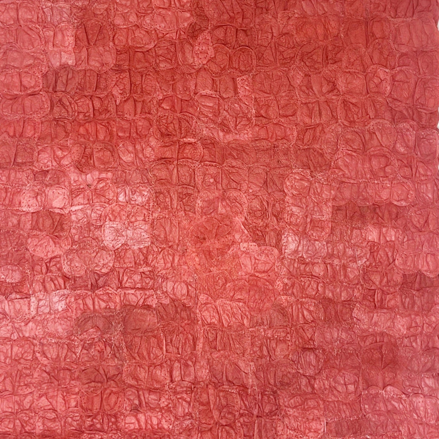Mulberry Silk Charger (Pair) - Egyptian Red