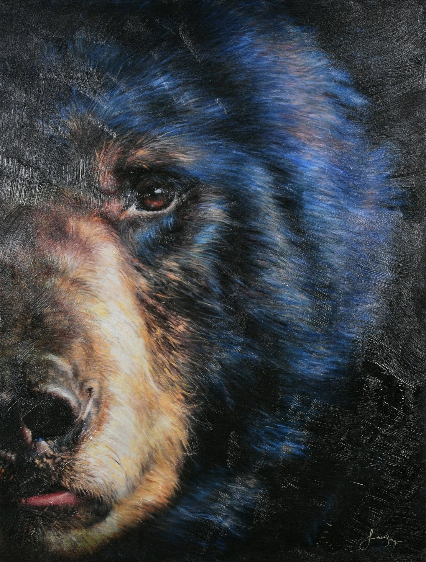 Grizzly Bear Gallery Wrap 19