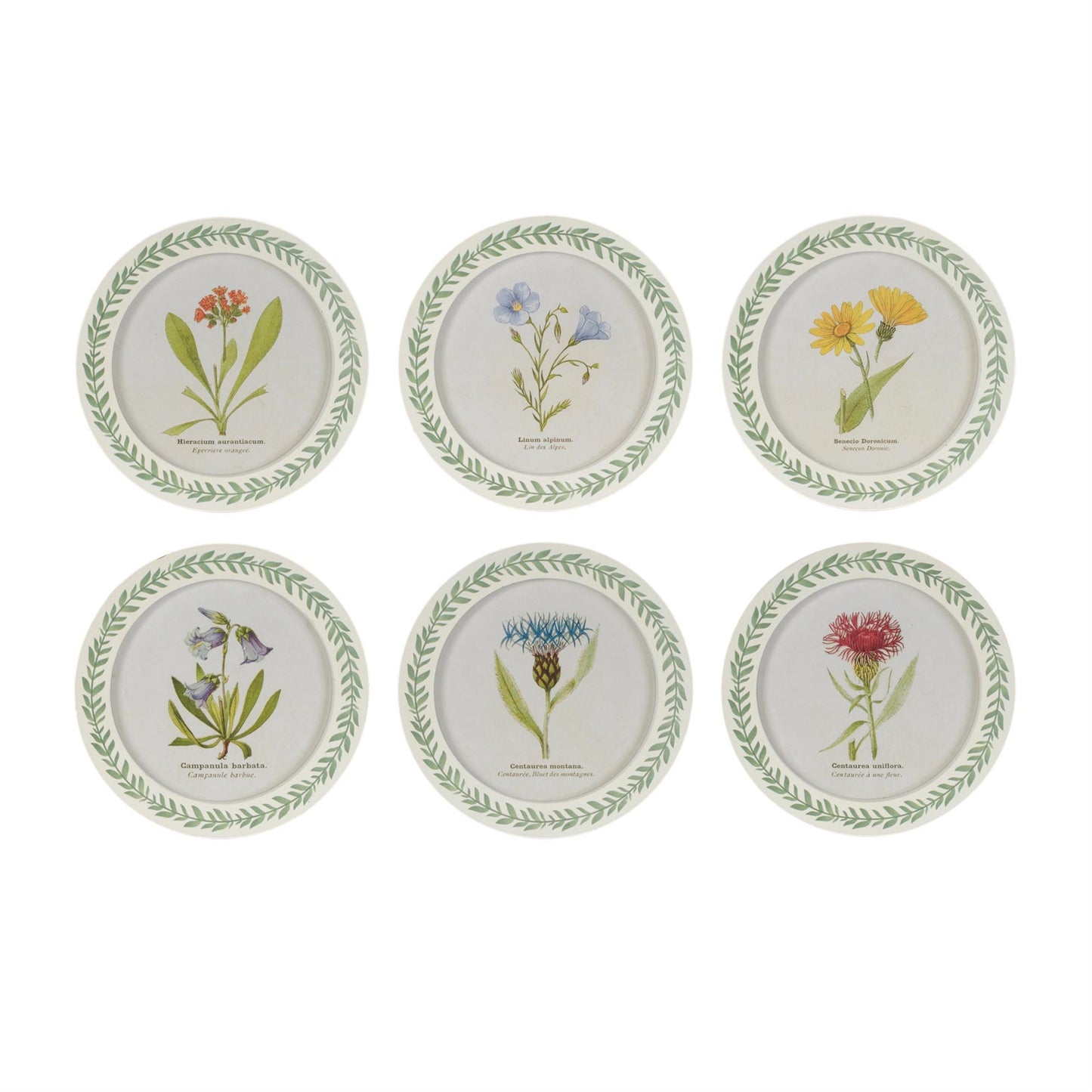 Round Framed Encyclopedia Floral Print (Set of 6)
