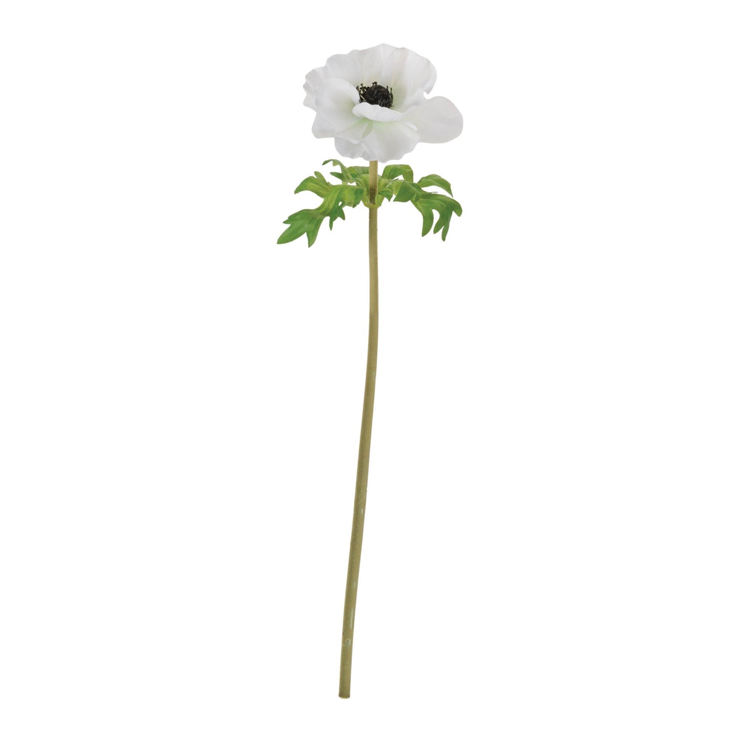 Anemone Floral Stem (Set of 6)