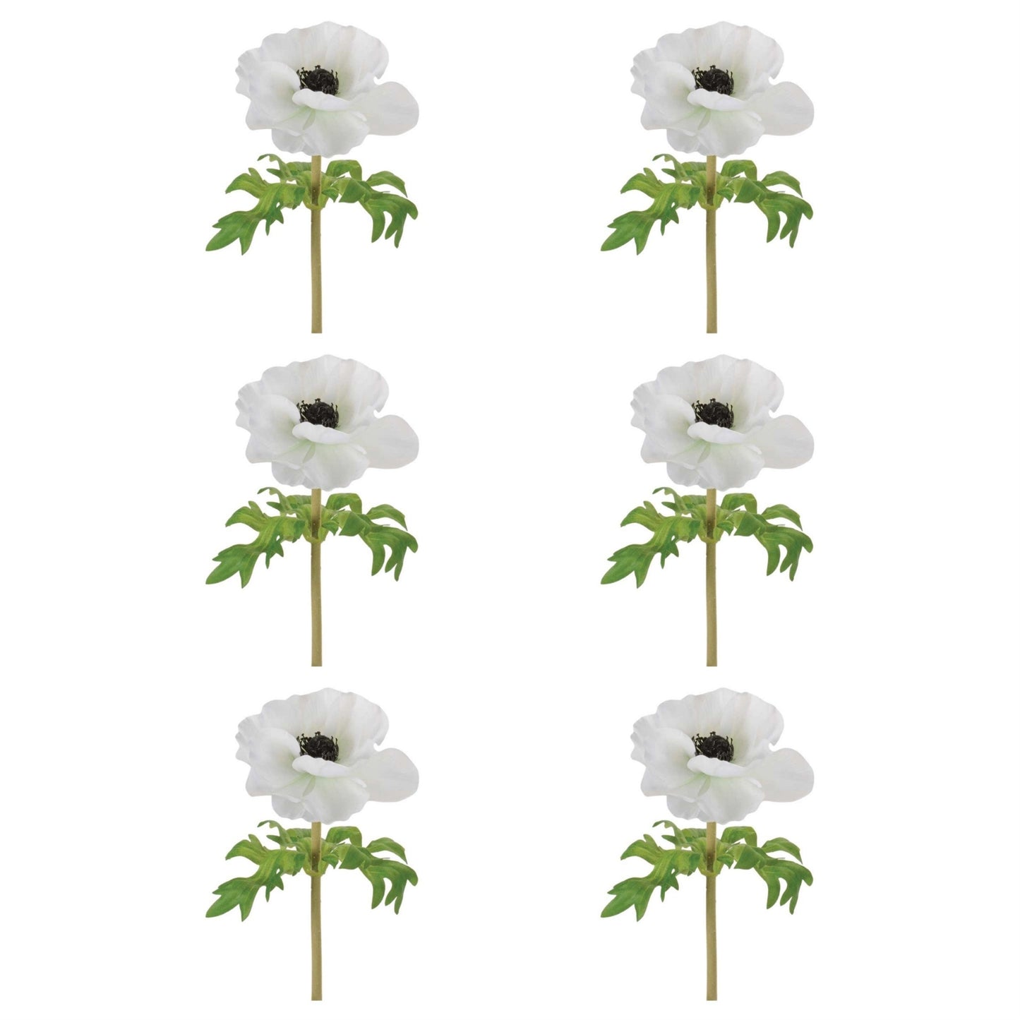 Anemone Floral Stem (Set of 6)