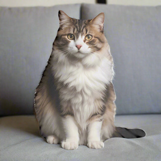 Cat-Shaped Pillows — Soft Sculptures with Personality