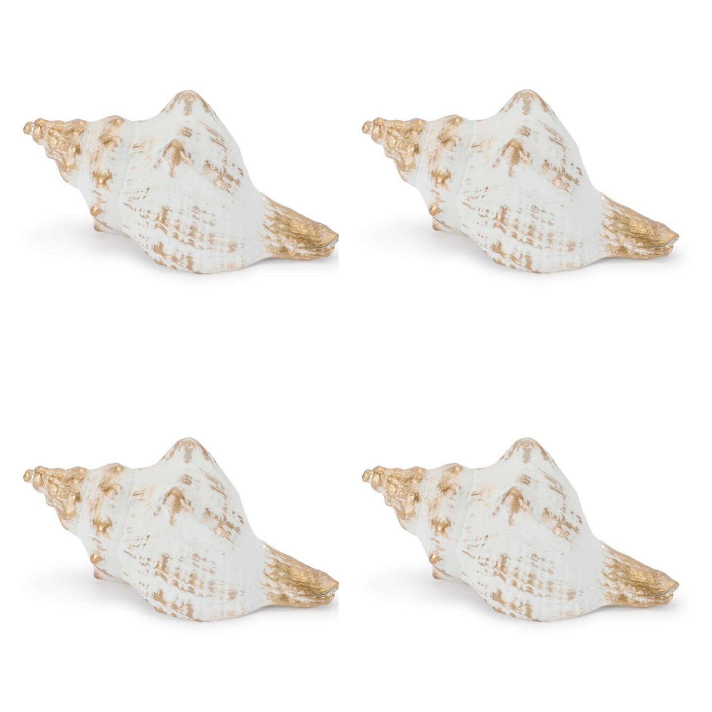 Whitewashed Coastal Seashell DŽcor (Set of 4)