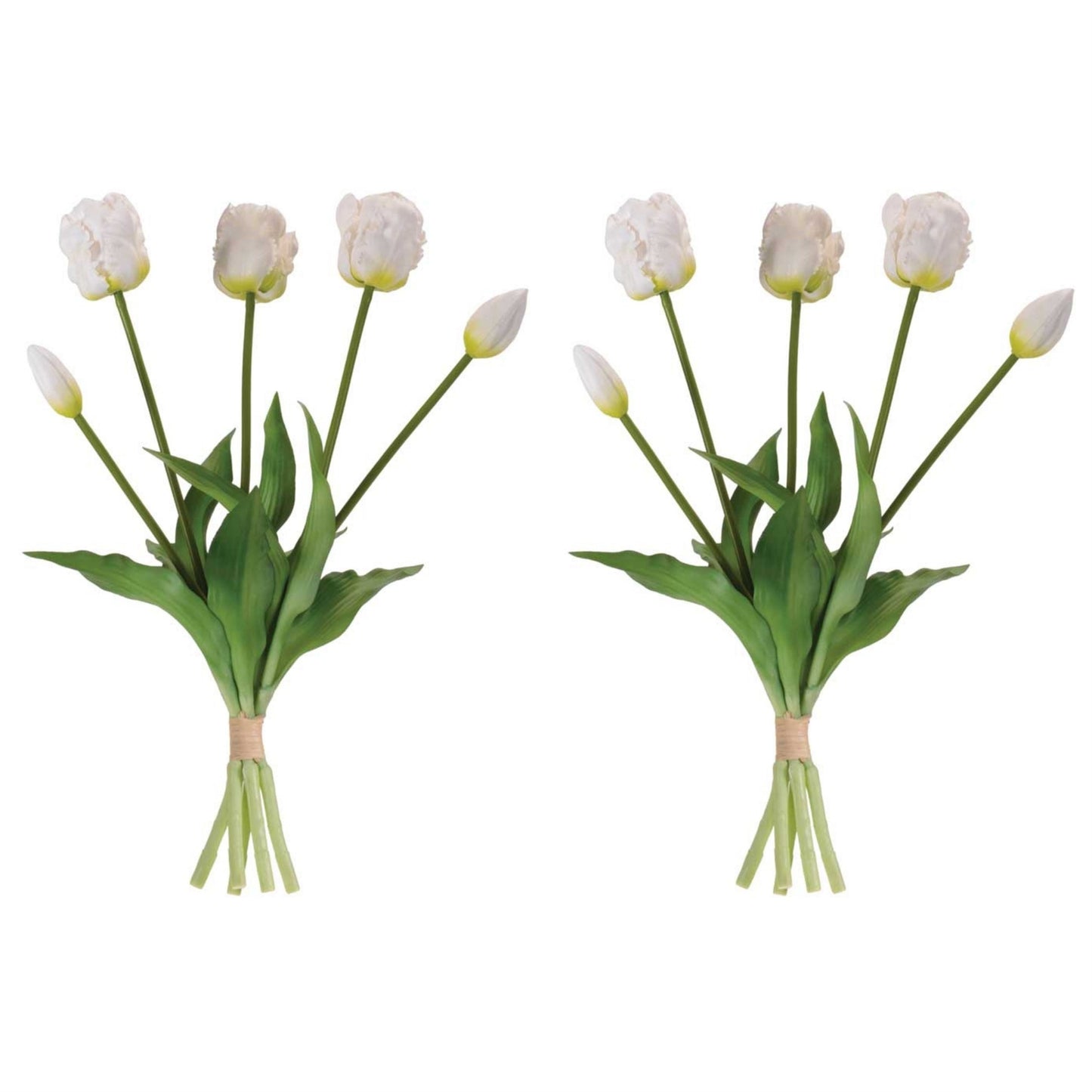 Tulip Floral Bundle (Set of 2)