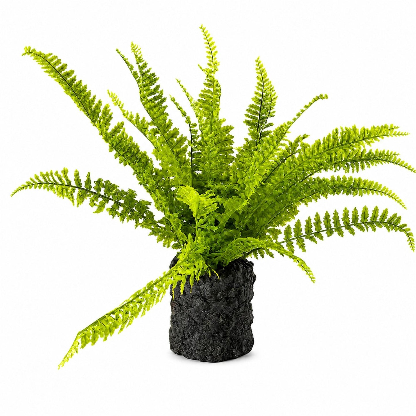 Fern Plant with Mossy Base 24"H