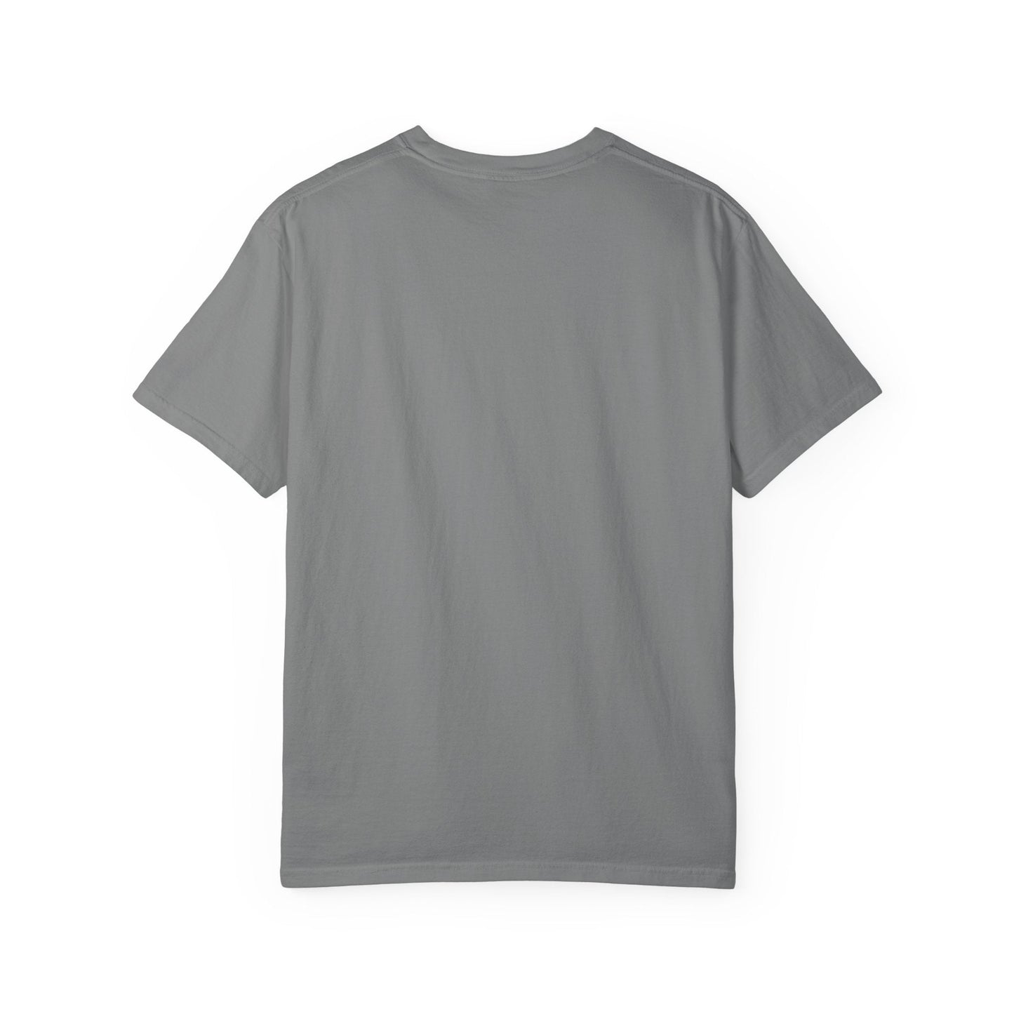 Pet Ownership Implies Control | Cat Humor T-Shirt