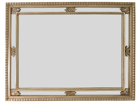 Platina Mirror