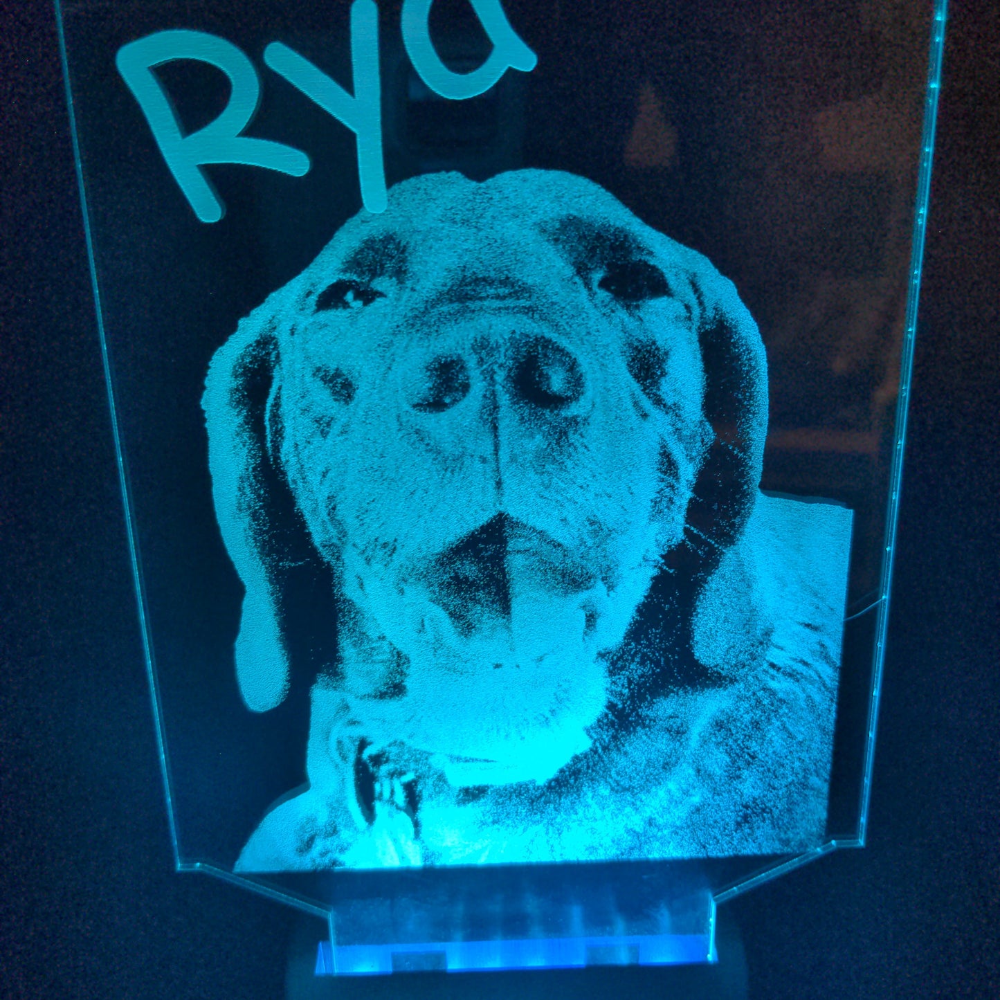 Custom Pet Portrait (mini LED)
