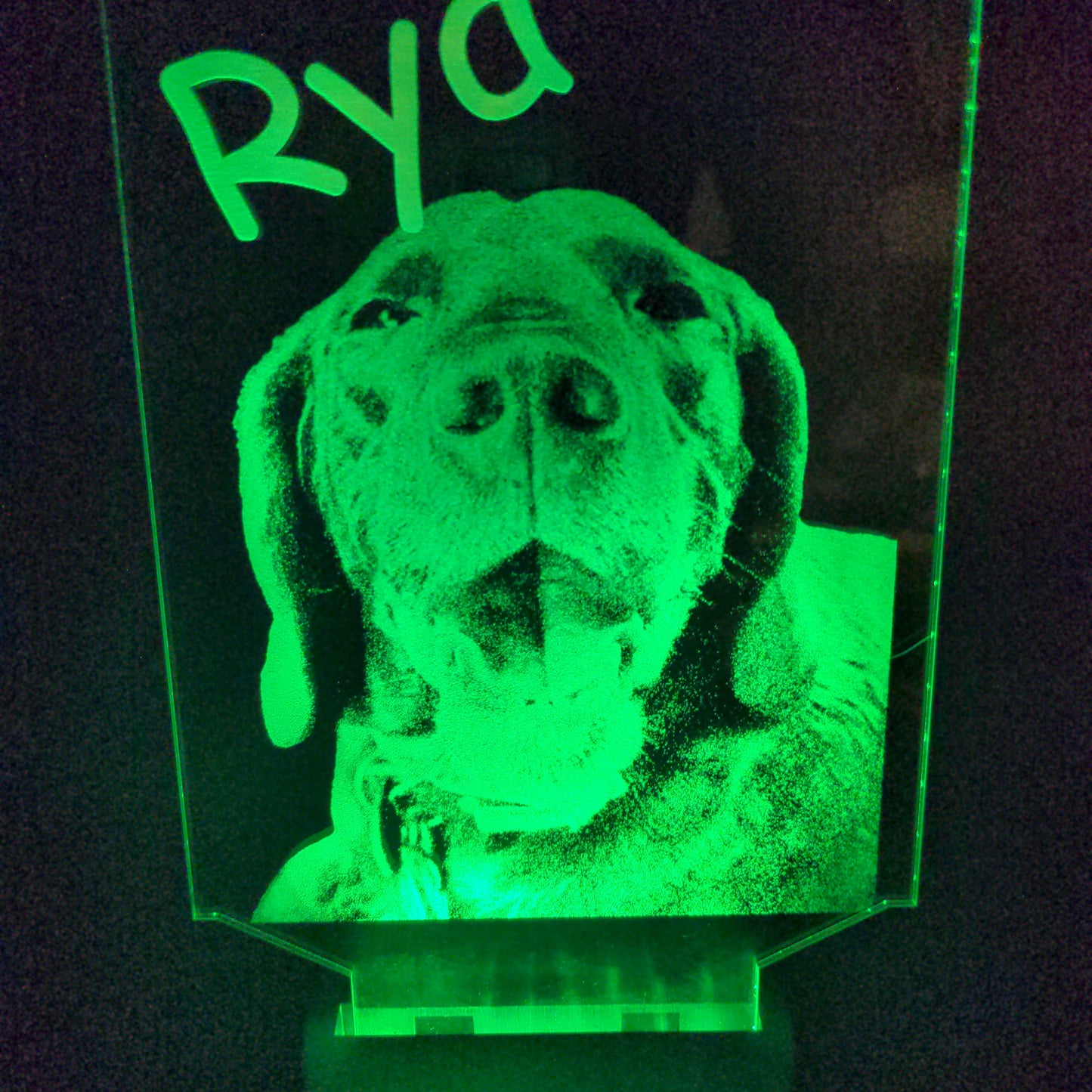 Custom Pet Portrait (mini LED)