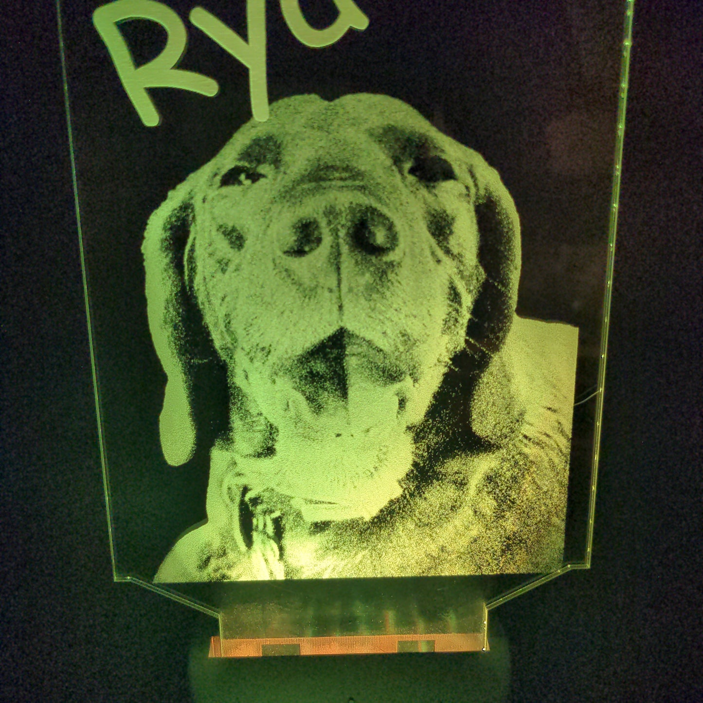 Custom Pet Portrait (mini LED)