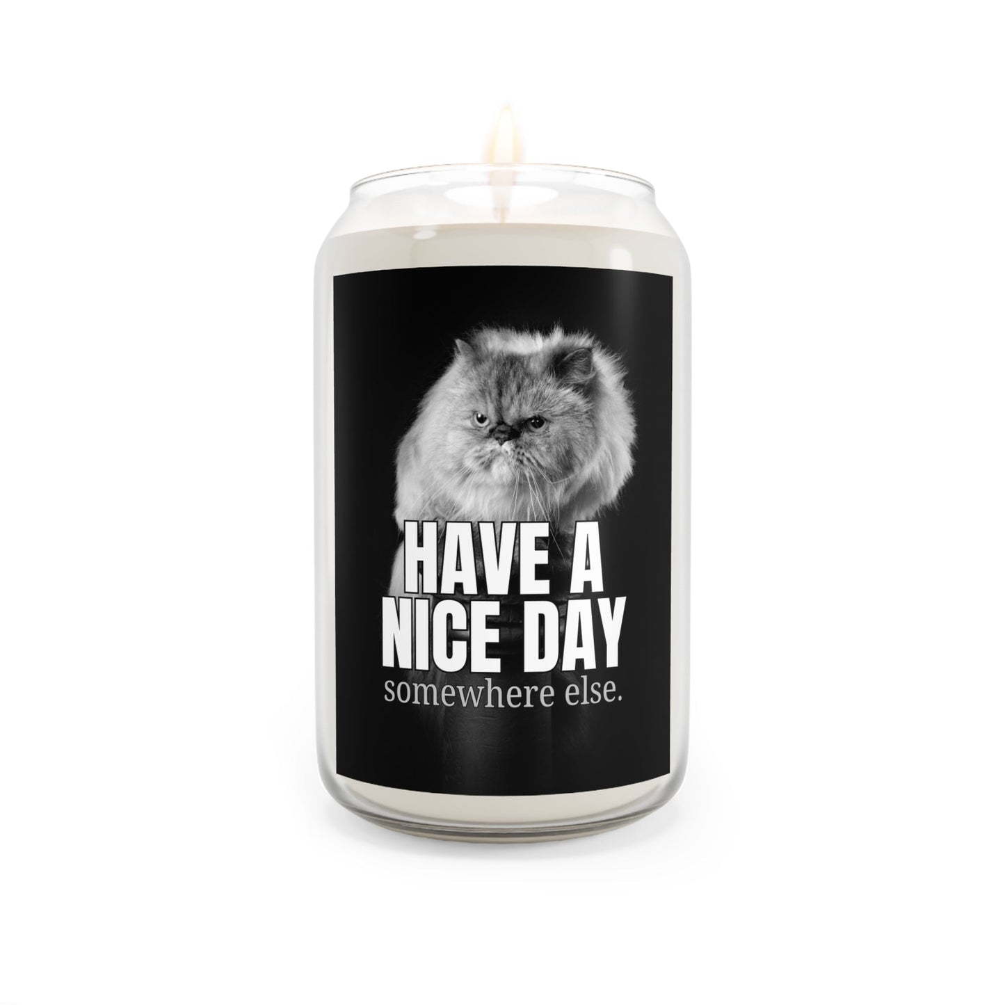 Have a Nice Day Somewhere Else Candle | Funny Cat Soy Candle