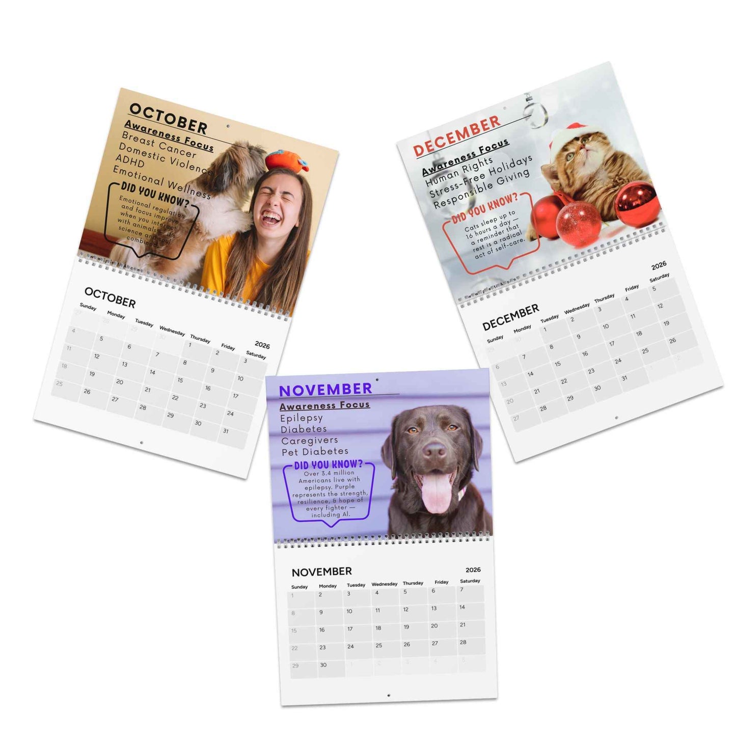 2026 Awareness Calendar: Monthly Inspirational Themes for Wellness & Growth