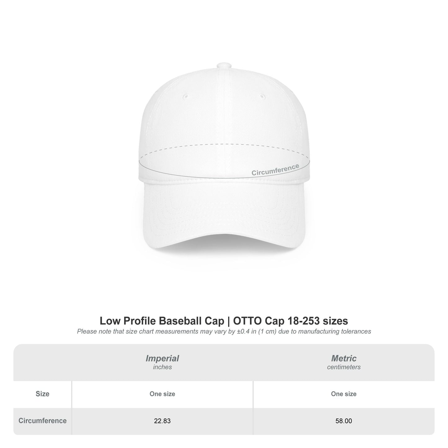 Department of Tides & Tan Lines Dad Cap – Coastal Seal Hat, Office of Saltwater Affairs