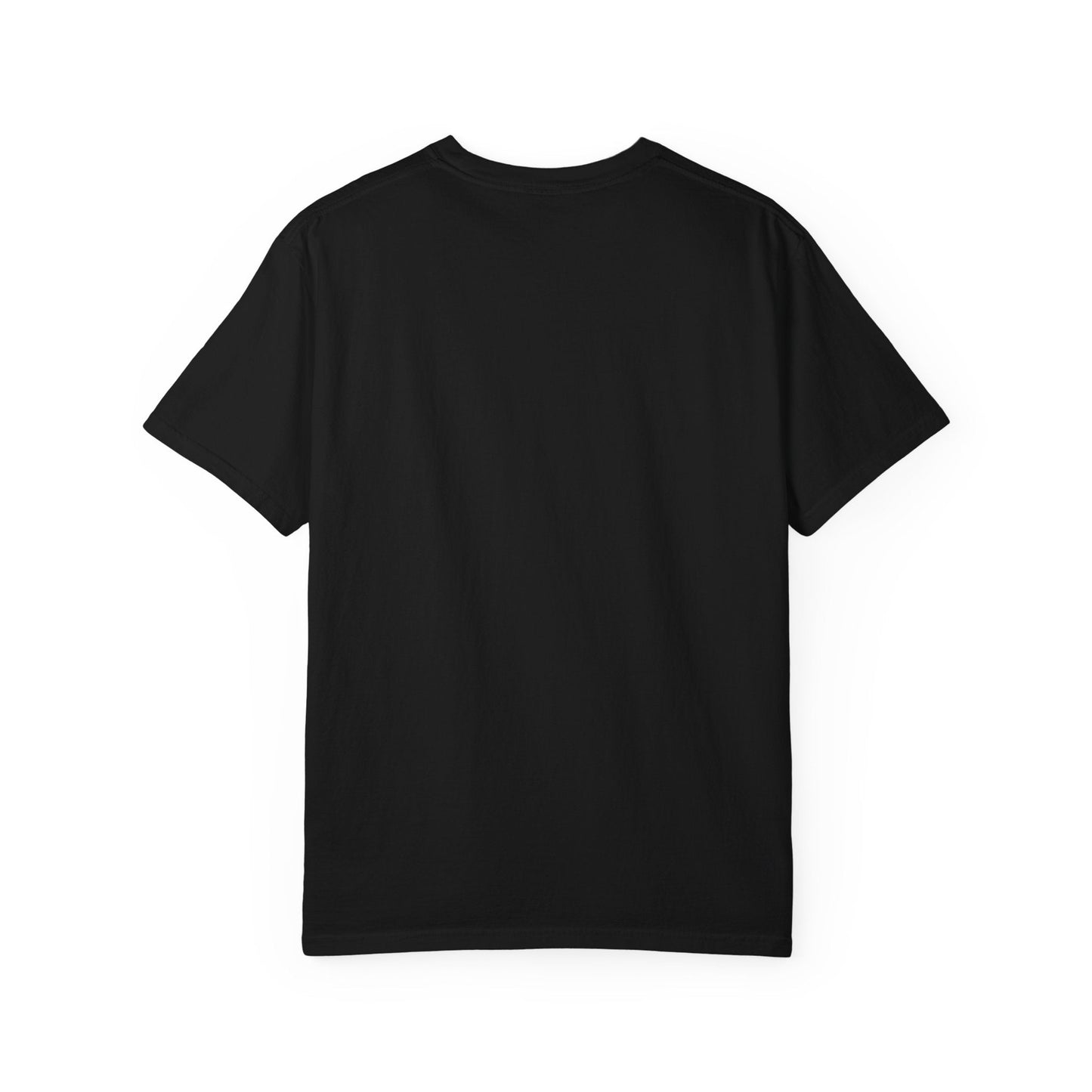 Assigned Human T-Shirt | Chosen by the Cat Tee