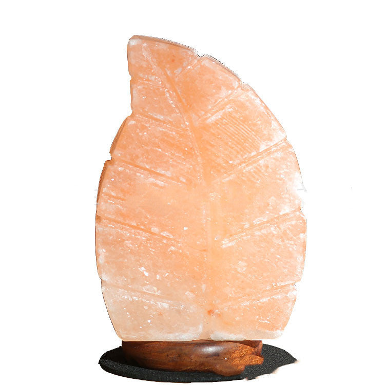 Salt Crystal Leaf Lamp
