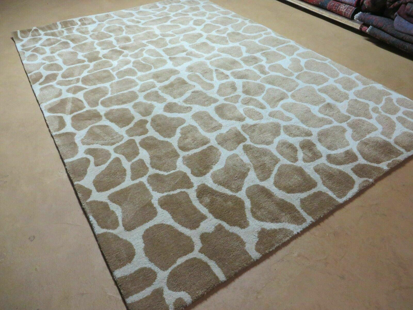 6x9 Safavieh Rug