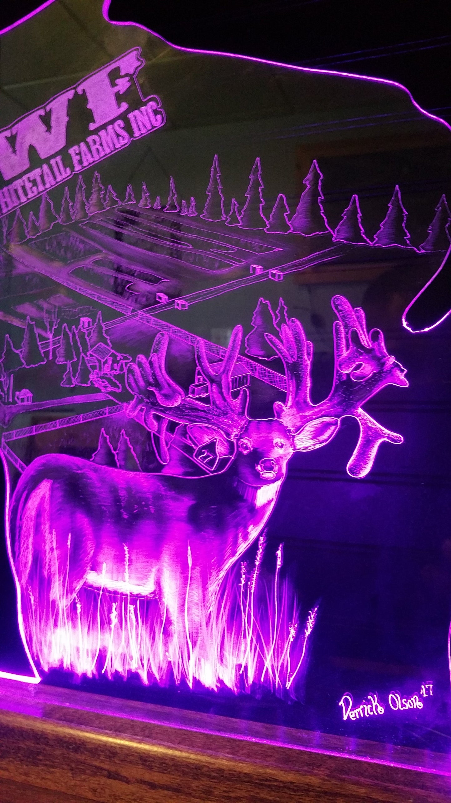 STAND DESIGNS (Customizable)