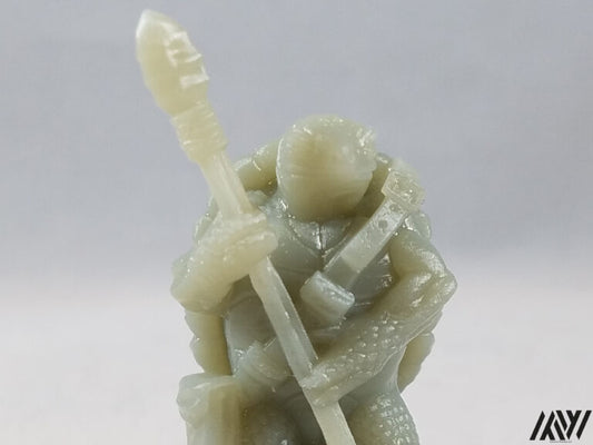 Turdle w/ Spear