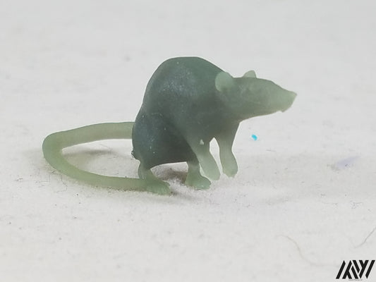 Small Rat