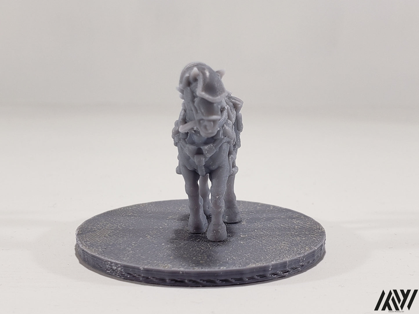 Horse A