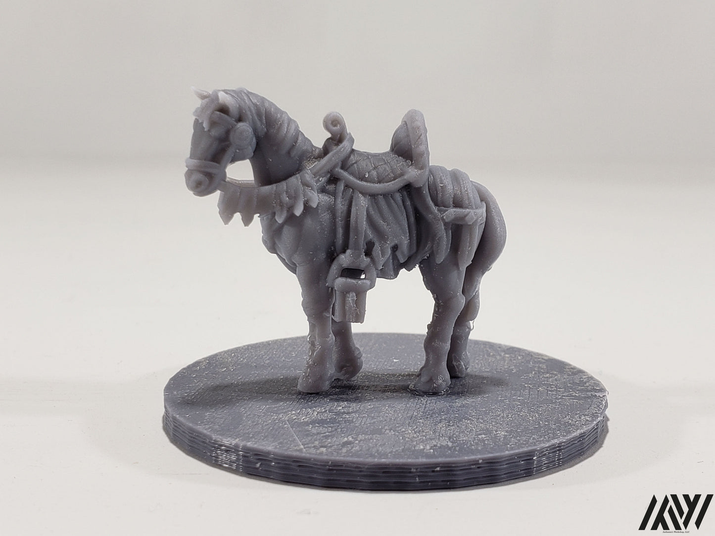 Horse B