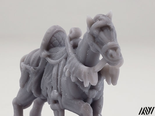 Horse D