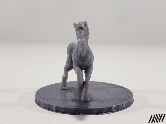 Horse E