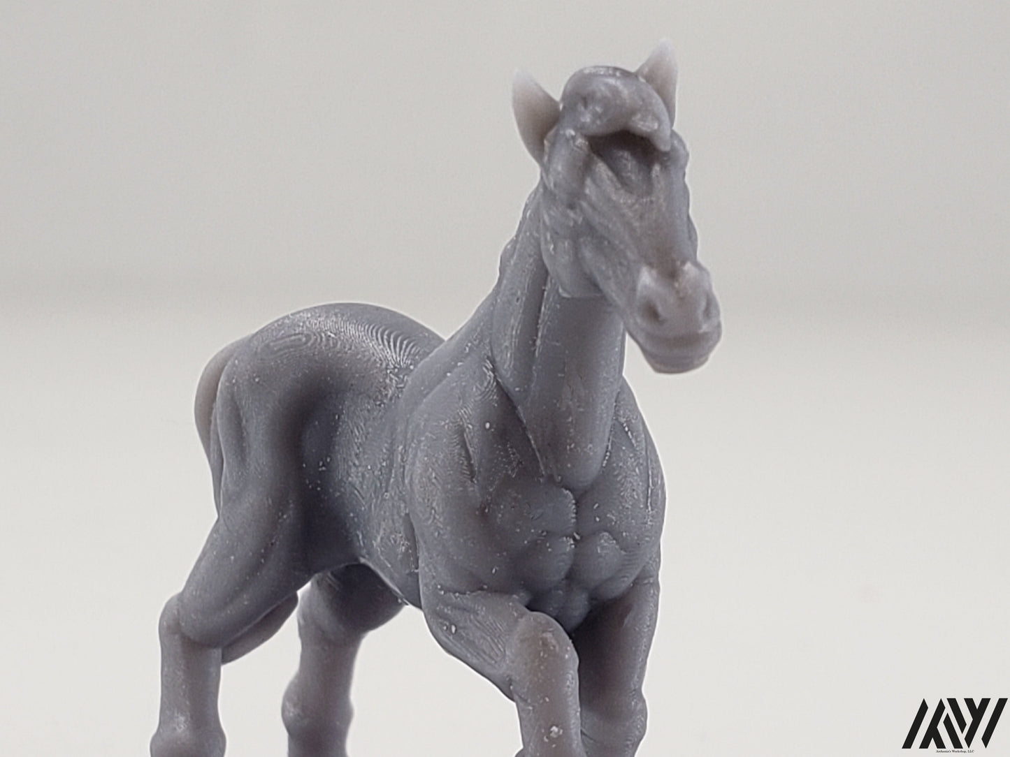 Horse E