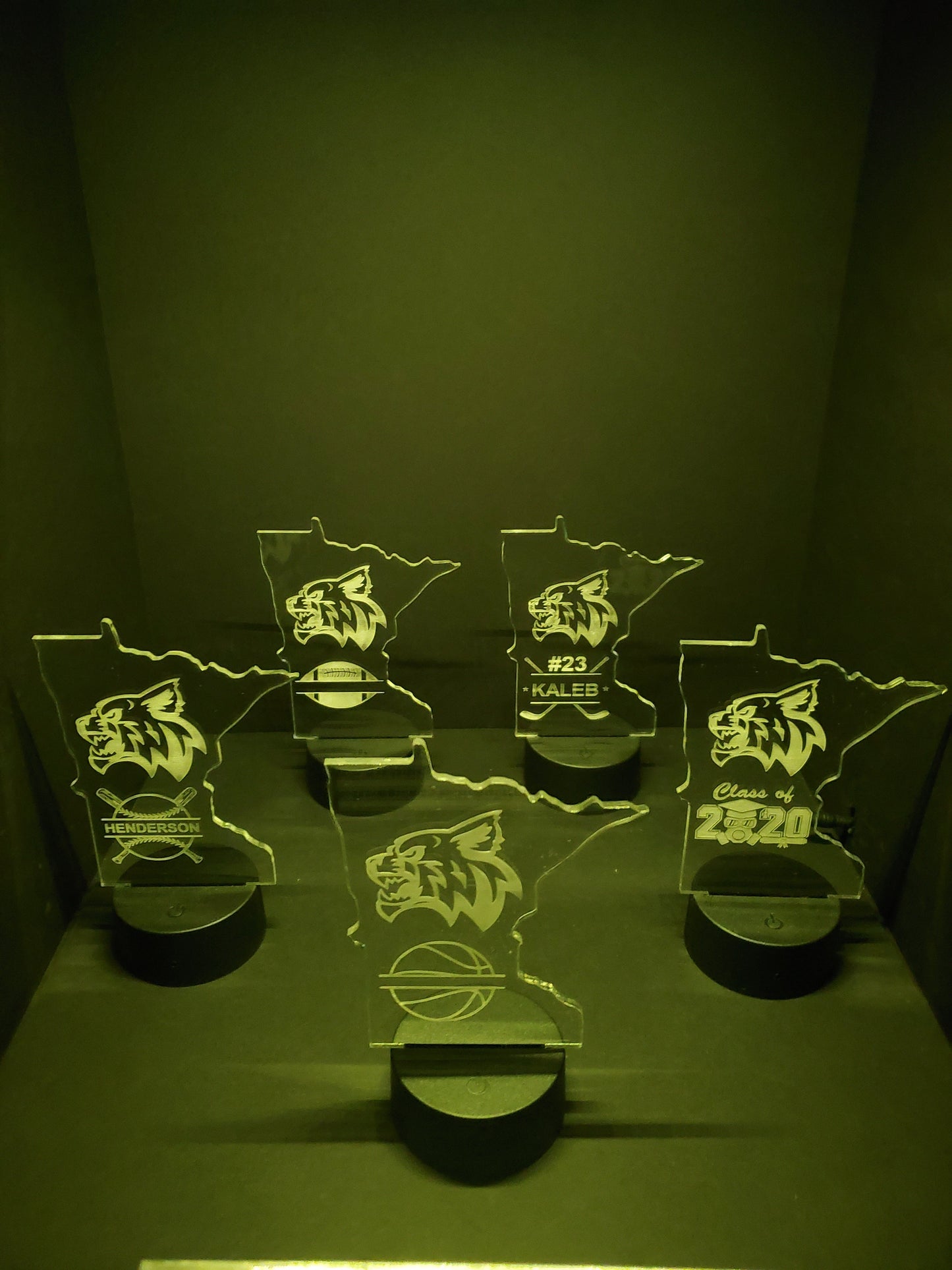 MINI LEDs (Customizable)